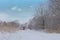 Path along bare winter trees, shrubs and reed covered in snow