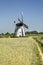 Path along a cornfield towards a windmill