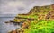 Path along the Giant\'s Causeway