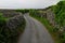 Path along stone walls in Ireland