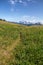 Path through alpine meadows leads to views of Mt Shuksan