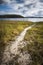 Path amongst reeds on smiths lake on NSW mid north Coast in Australia