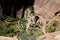 Path, Angels Landing trail in Zion National Park