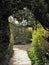 Path through an archway formed from a hedge with sunlight