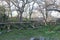 Path in an artificial oak forest