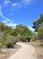 Path in Australian Bushland