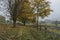 Path in autumn color alley