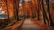 path in autumn forest A scenic nature landscape of path near lake in autumn. The path is narrow and winding