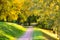 Path through an autumn wood on a bright sunny day in Tsaritsyno Park