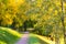 Path through an autumn wood in Tsaritsyno Park