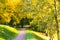 Path through an autumn wood in Tsaritsyno Park