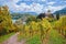 Path through autumnal vineyard spiez, switzerland