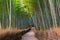 Path through bamboo forest at Sagano, Arashiyama, Kyoto,