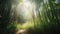 a path through a bamboo forest with the sun shining through the trees