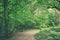 Path through Banstead woods