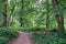 Path through Banstead woods