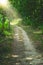 Path through Banstead woods