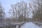 Path with bare trees covered in snow n the  winter marsh in the Flemish countryside