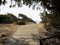 Path -Beach of Novo Sancti Petri-Cadiz -Andalusia