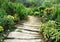 Path in beautiful garden