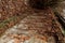 A path beautifully covered by leaves in autumn