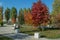 Path, benches and bright trees in  Park in fall