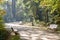 Path with benches among the trees of a garden in an atmosphere of mist in autumn. Campo Grande, Valladolid, Castile and Leon,