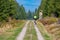 The path in the Black Forest in Germany with some hikers and a biker