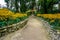 Path bordered with numerous yellow flowers and a photo frame at the end of the path