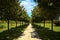 Path bordered by trees in a park in the countryside in autumn