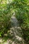 Path in Botanical gardens at the Pico Isabel de Torres mountain above Puerto Plata, Dominican Republ