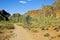 The path in Bungle Bungles (Purnululu) - Purnululu National Park