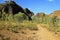 The path in Bungle Bungles (Purnululu) - Purnululu National Park
