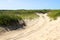 Path in Cape Cod Dunes