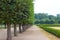 A path in the chateau park with tree-lines