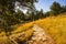 Path on the Chautauqua Park four