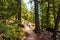 Path on the Chautauqua Park nine