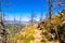 Path on the Chautauqua Park seven