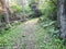 A path on the Child`s Lake hiking trail at Duck Mountain Provincial Park, Manitoba, Canada