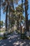 Path in the city, Boulevard de Paseo ColÃ³n, in Toluca State of Mexico, surrounded by trees