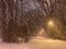 A path in a city park in winter