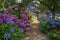 A path with colorful hydrangea leads to a rural house