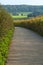 Path Through Corn Field