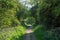 Path in countryside through hedgerow