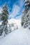 A path cover with snow in paradise area,scenic view of mt Rainier National park,Washington,USA..