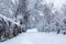 Path covered with big snow in park on cold winter day