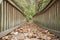 Path covered with fallen dry leaves with wooden railings at Tacoma, Washington