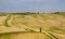 Path in Curvy Tuscany Landscape-Val dOrcia, Italy