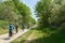 Path with cyclists along the cliff coast between the towns of Kühlungsborn and Heiligendamm on the Baltic coast in Germany