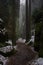 Path in czech sandstone rocks in Bohemian Paradise